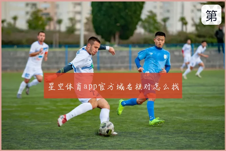 星空体育app官方域名核对怎么找